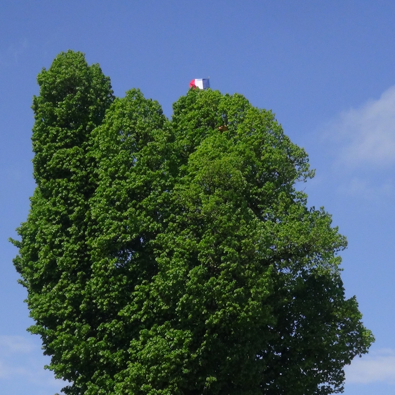 Drapeau2025d